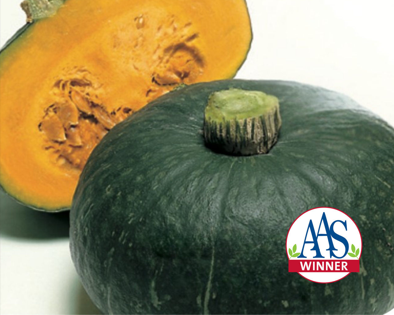 Sweet Mama Hybrid Winter Squash Seeds