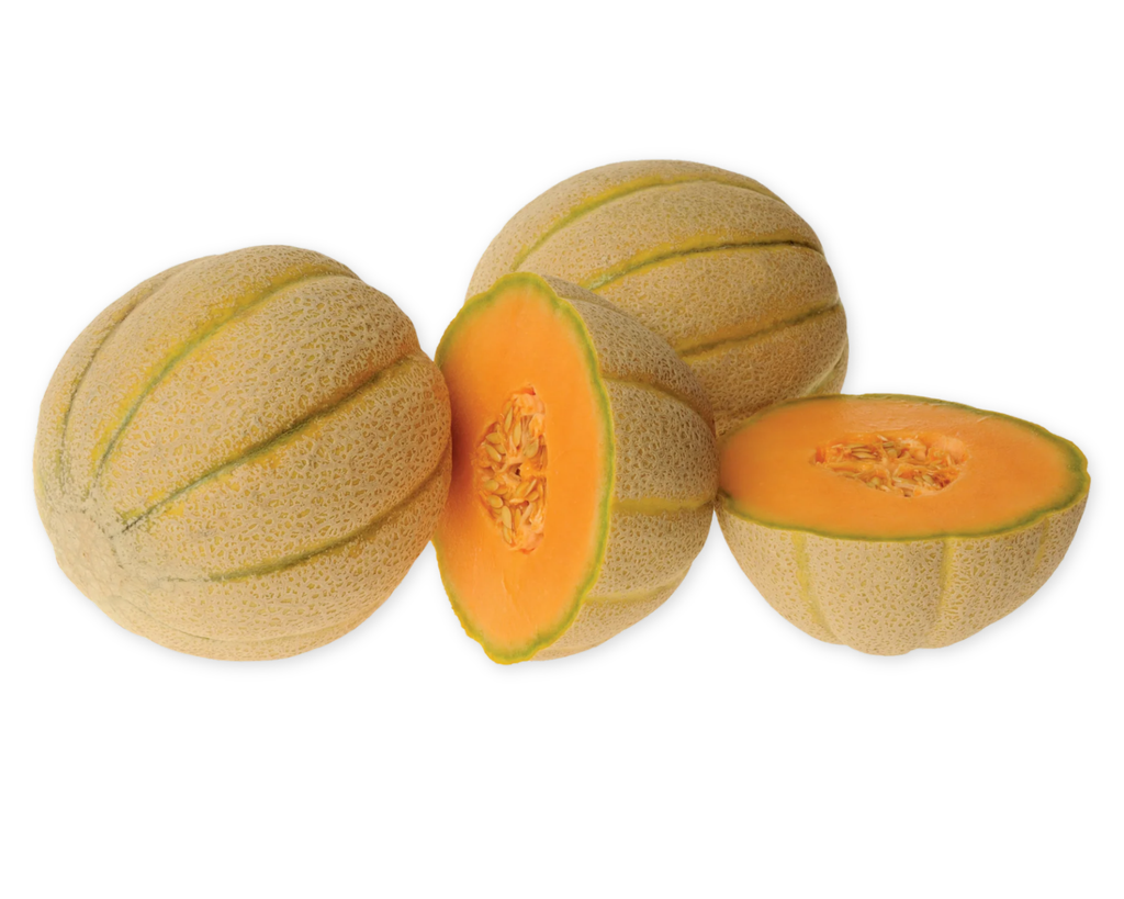 Halona Hybrid Melon Seeds