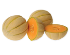 Halona Hybrid Melon Seeds