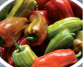 Candy Cane Red Hybrid Pepper Seeds