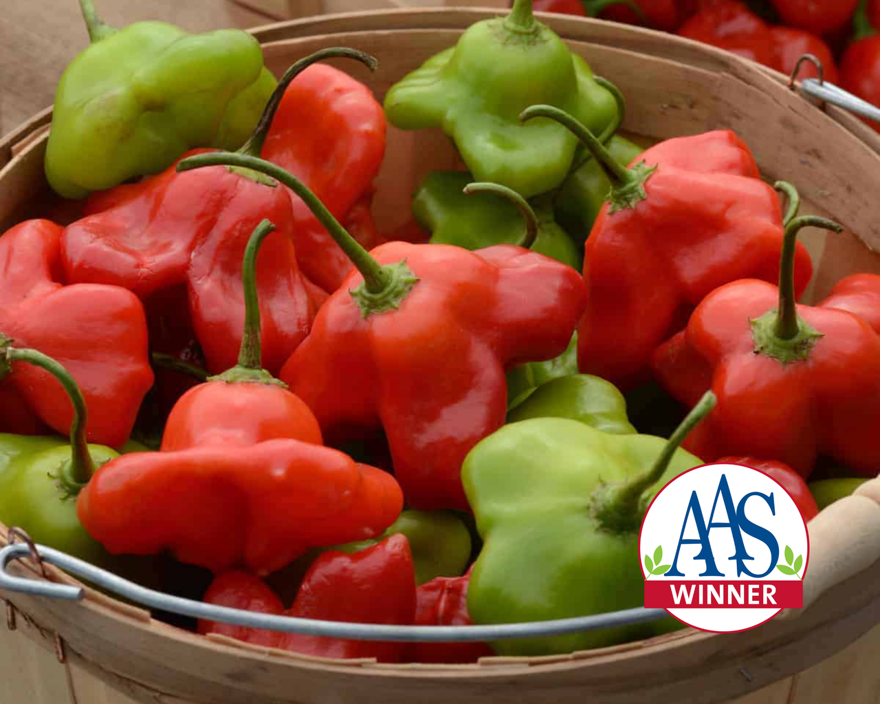 Mad Hatter Hybrid Pepper Seeds