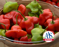 Mad Hatter Hybrid Pepper Seeds