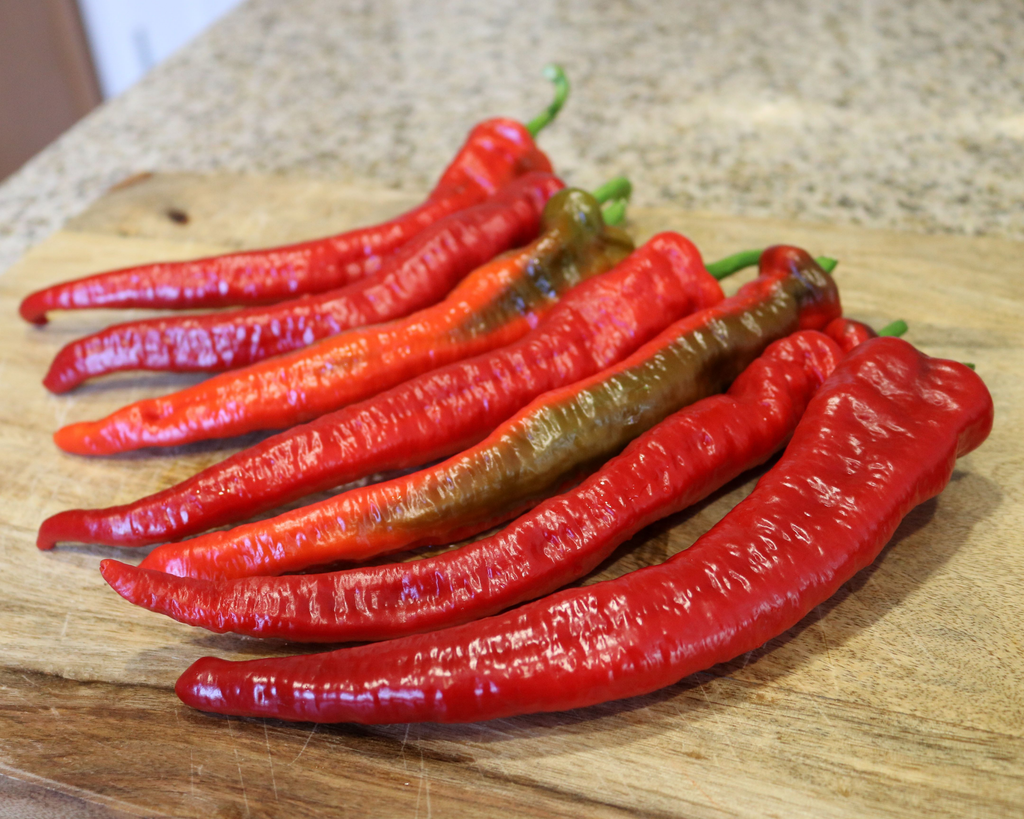 Mesilla Hybrid Pepper Seeds