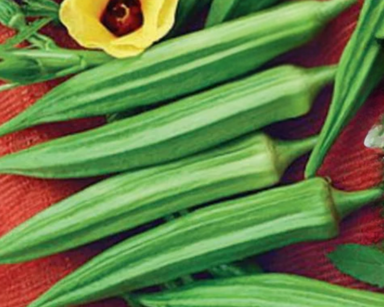 Clemson Spineless Okra Seeds