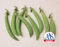 Snak Hero Snack Pea Seeds