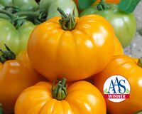 Chef's™ Choice Yellow Hybrid Tomato Seeds
