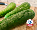 Sweet Success Hybrid Cucumber Seeds