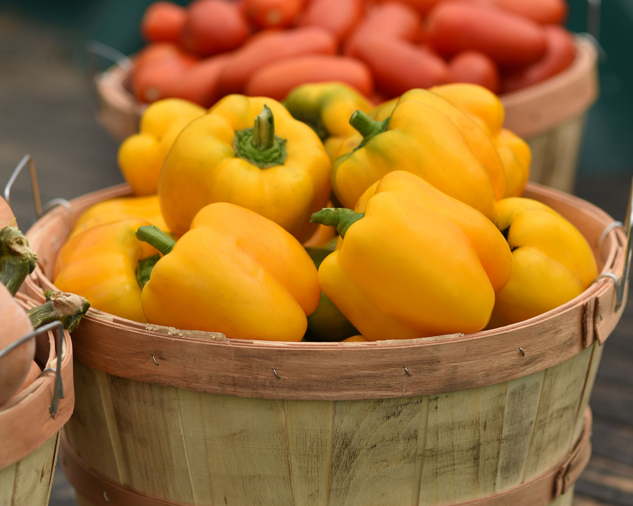 Trailblazer Hybrid Pepper Seeds