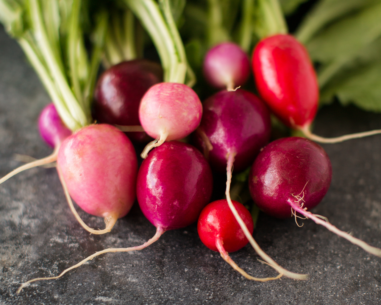 Easter Egg Blend Radish Seeds