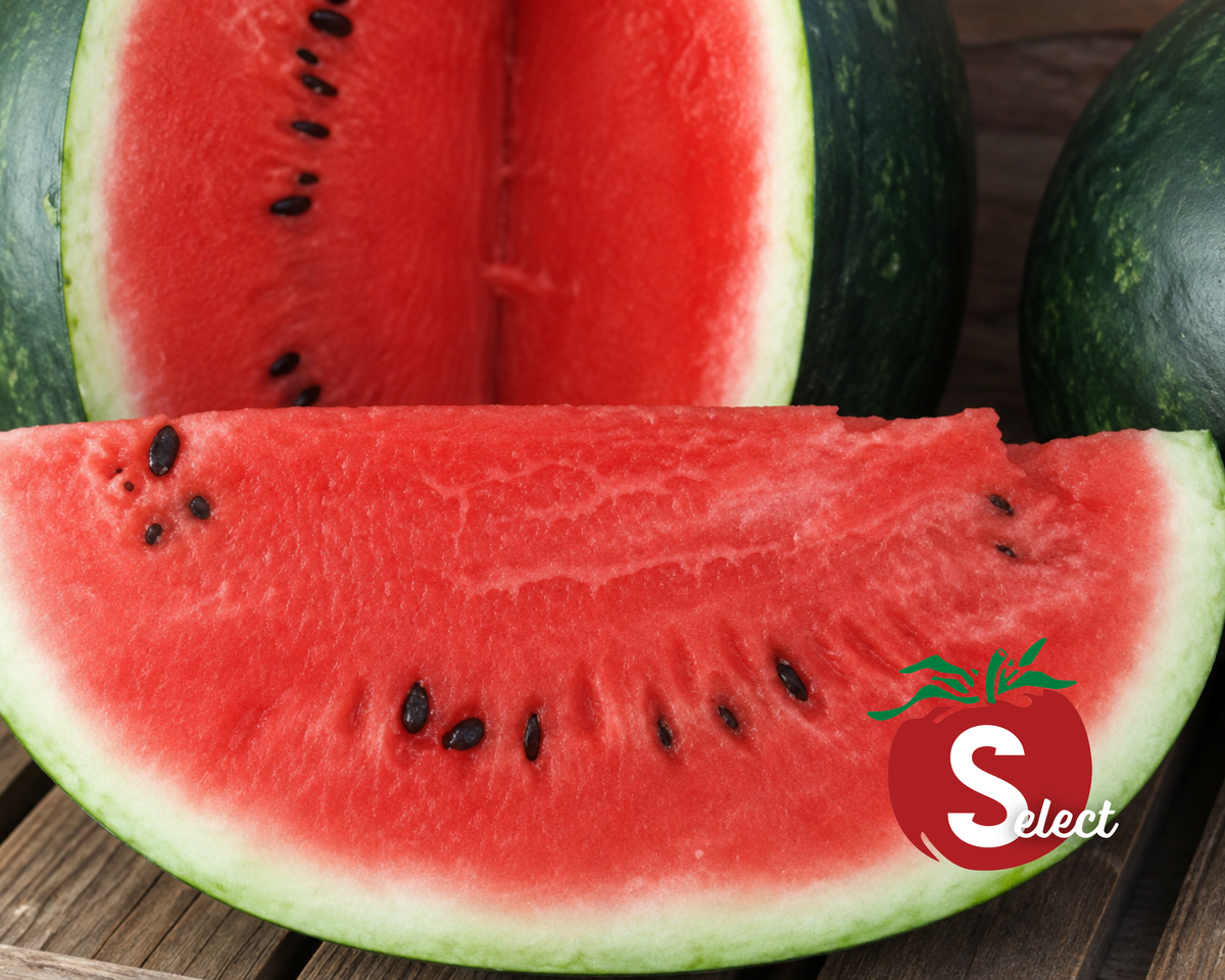 Sugar Baby Watermelon Seeds