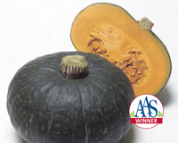 Sweet Mama Hybrid Winter Squash Seeds