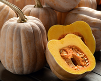 Autumn Frost Hybrid Winter Squash Seeds