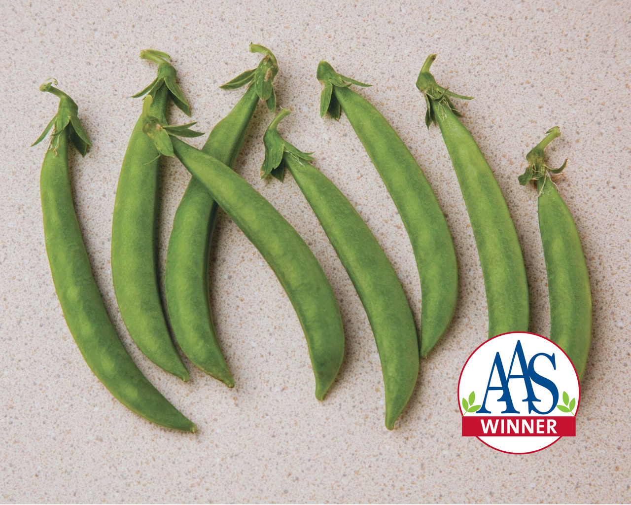 Snak Hero Snack Pea Seeds