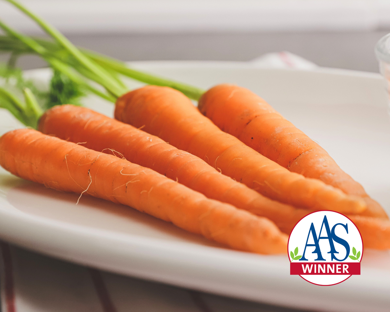 Tendersweet Carrot Seeds