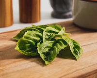 Genovese or Sweet Basil Seeds