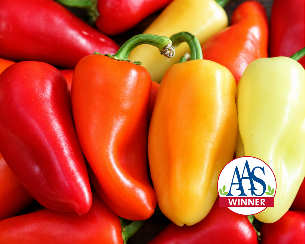 Mariachi Hybrid Hot Pepper Seeds