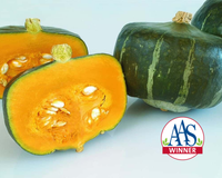 Bonbon Buttercup Hybrid Winter Squash Seeds
