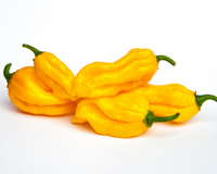 Fatalii Hot Pepper Seeds