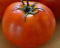 Little Sicily Hybrid Tomato