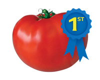 Original Blue Ribbon Hybrid Tomato Seeds