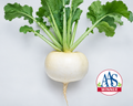 Just Right Hybrid Turnip Seeds