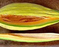 Banana Cantaloupe Seeds