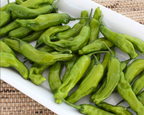 Takara Shishito Hybrid Pepper Seeds