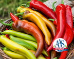 Mexican Sunset Hot Banana Hybrid Pepper