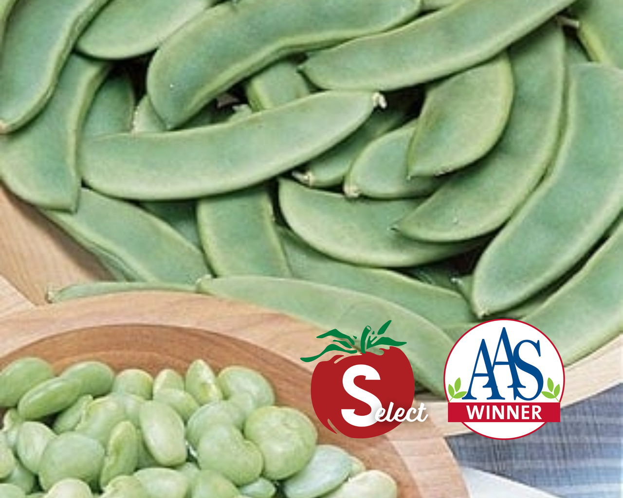 Fordhook 242 Bean Seeds