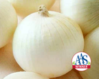 Sierra Blanca Hybrid Onion Seeds