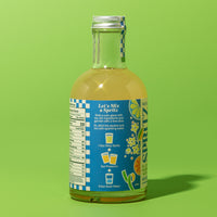 Elderflower Mint Spritz Mixer