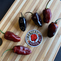 Pimenta Puma - Seeds