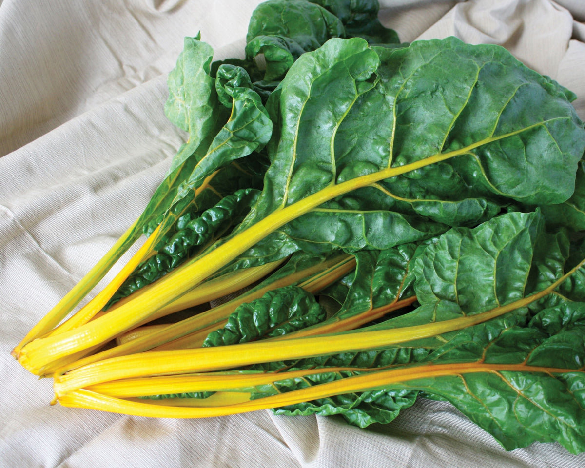 El Dorado Swiss Chard Seeds