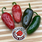 Jalapeno Zapotec - Seeds