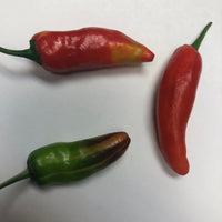 Thumbnail for Fish Pepper - Seeds