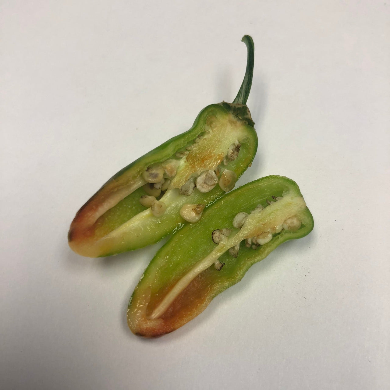 Fish Pepper - Seeds