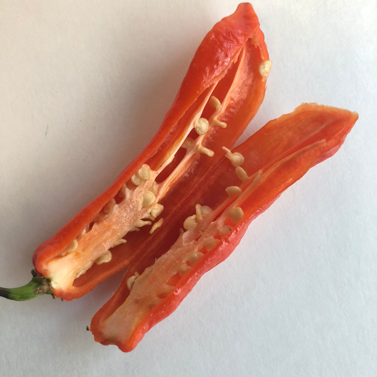 Jalapeno Ghostly - Seeds