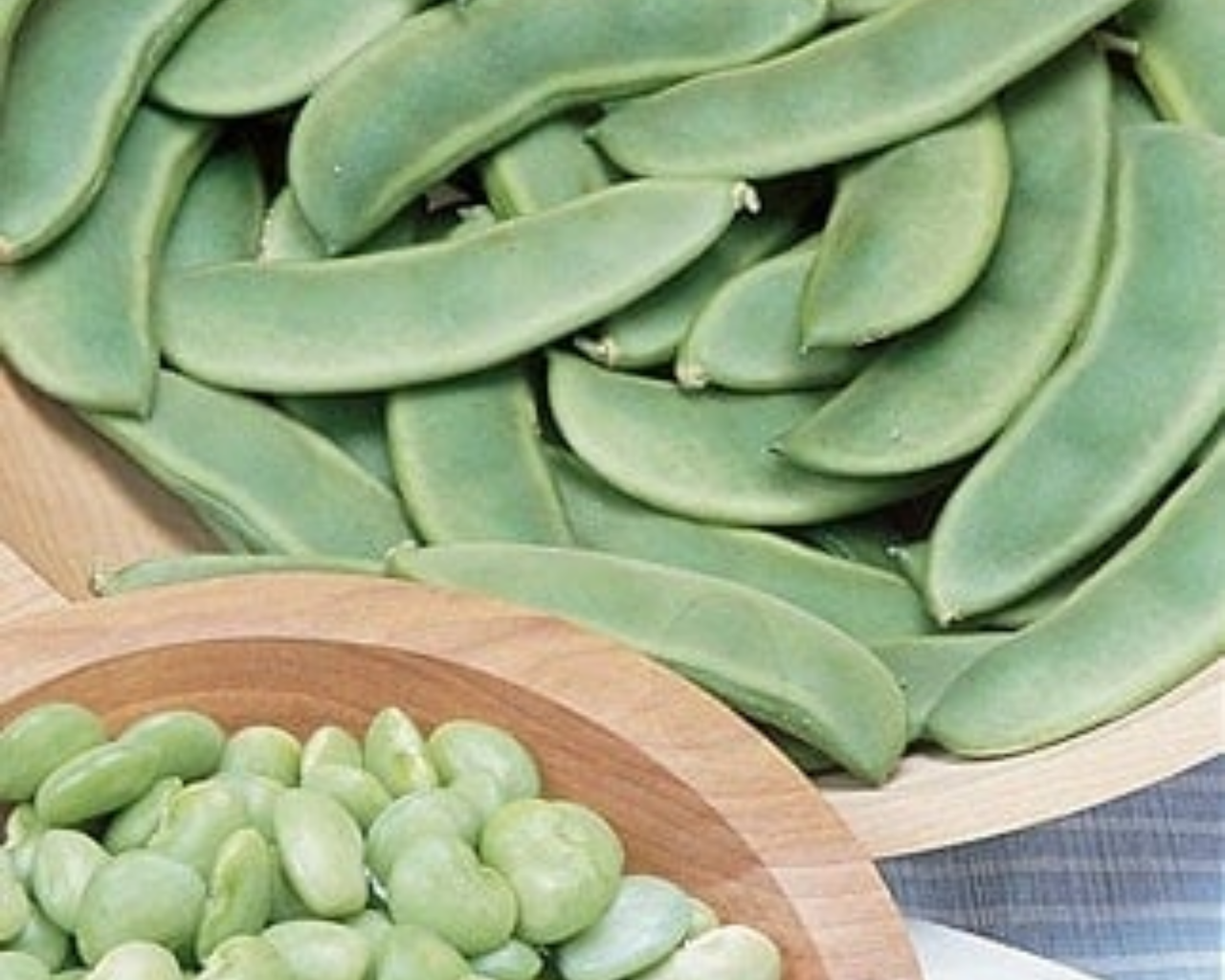 Fordhook 242 Bean Seeds