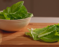 Jericho Lettuce Seeds