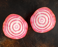 Chioggia Beet Seeds
