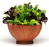 Alfresco Mesclun Blend Lettuce Seeds