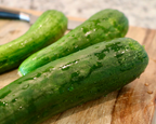 Sweet Success Hybrid Cucumber Seeds