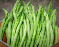 French Filet Bean Seeds