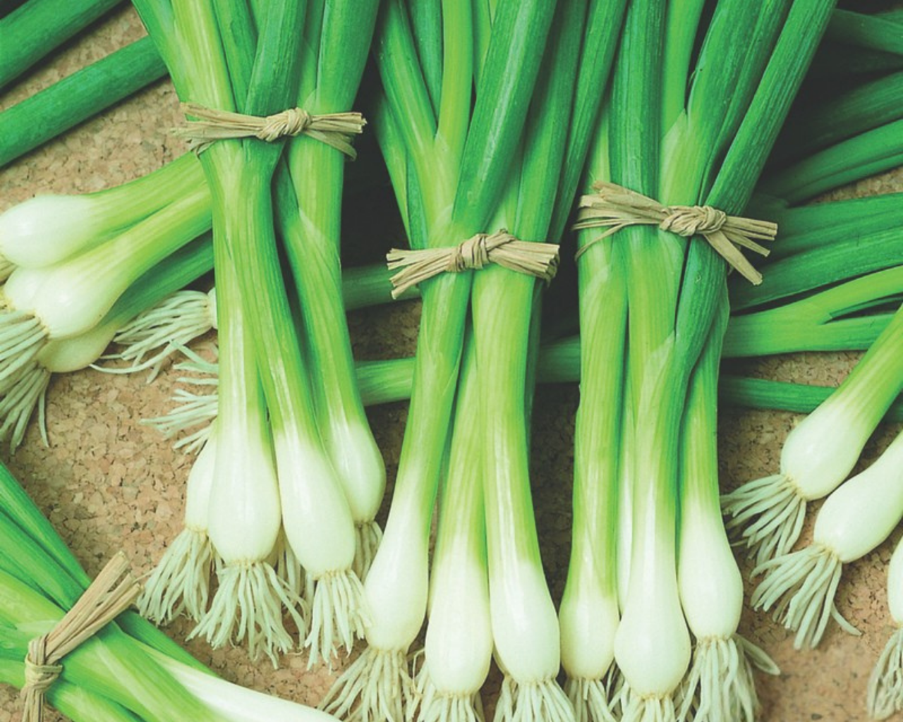 Warrior Bunching Onion