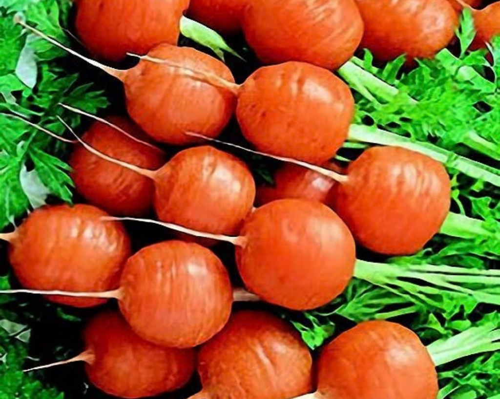 Parisian or Paris Market Carrot Seeds