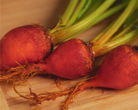 Golden Detroit Beet Seeds