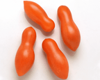 Sun Dipper Hybrid Tomato Seeds