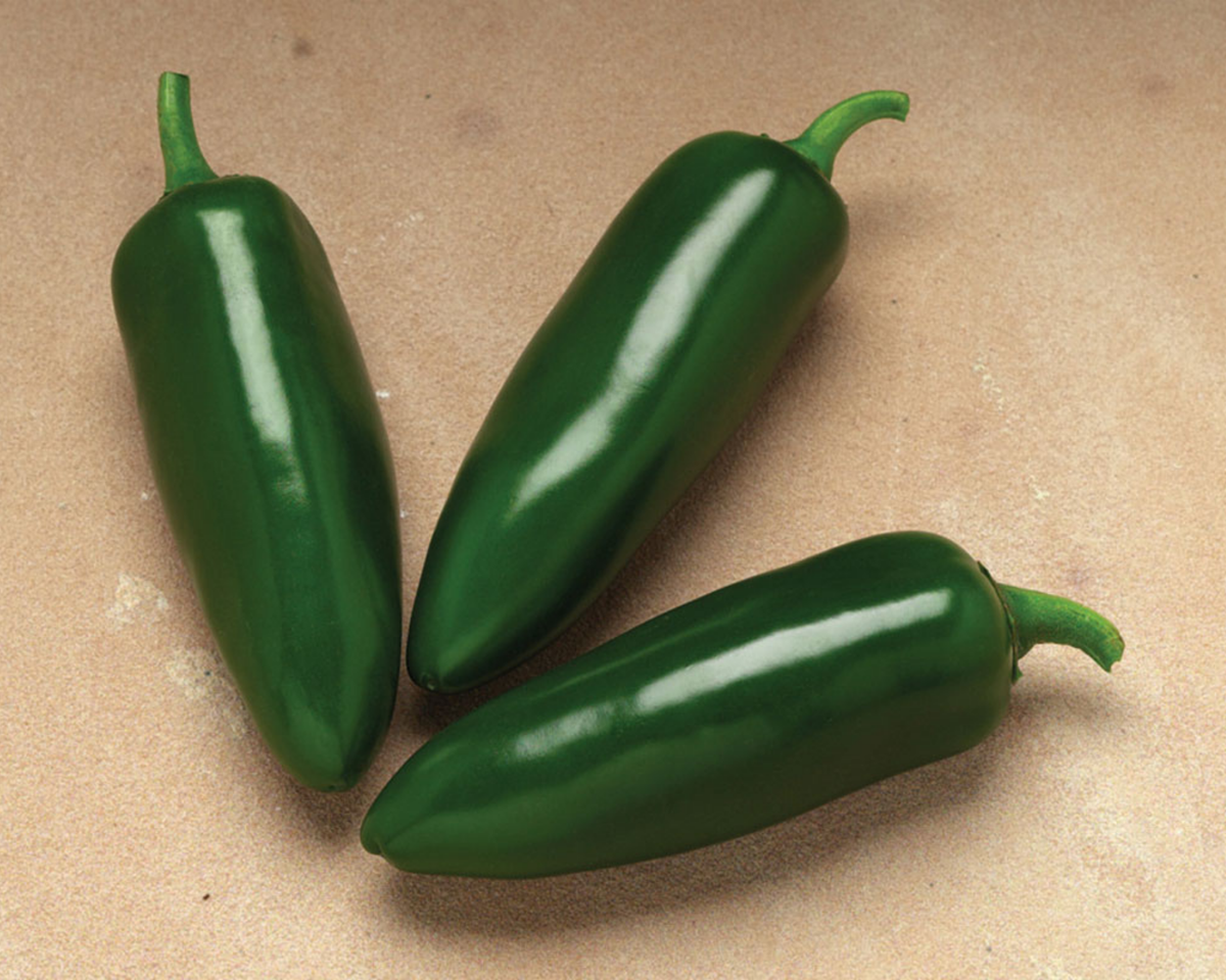 Jalafuego Hybrid Pepper Seeds