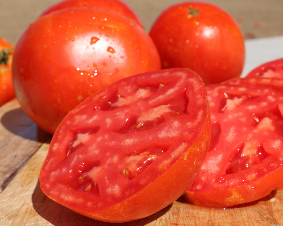 Saybrook Hybrid Tomato Seeds