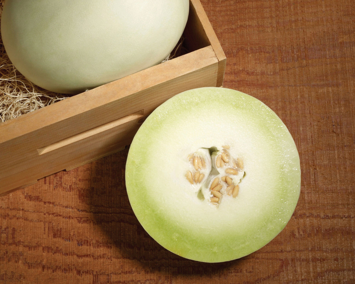 Super Nectar Hybrid Honeydew Melon Seeds